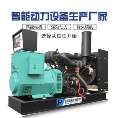 濰柴50kw發電機組